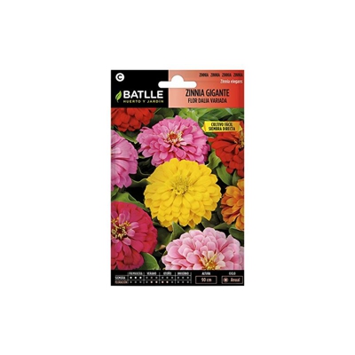Semillas Batlle Battle - Semi di Fiori - Zinnia Gigante a fior di Dalia