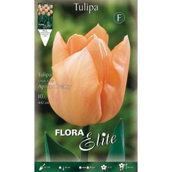 Tulipano Single Early Apricot Beauty Confezione Da 10 Bulbi Autunnali Bulbs Bulbes en oferta