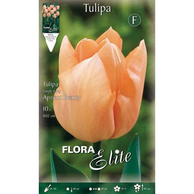 Tulipano Single Early Apricot Beauty Confezione Da 10 Bulbi Autunnali Bulbs Bulbes