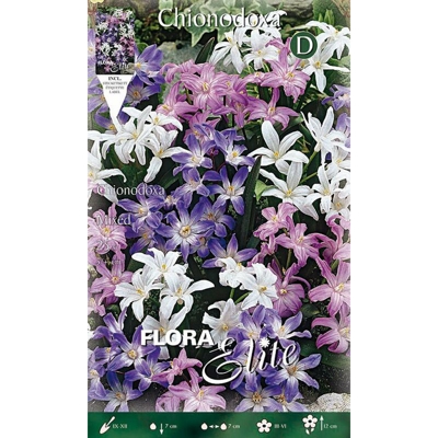 Bulbi Autunnali Chionodoxa Mix Di Colori Confezione Da 25 Bulbi Bulbs