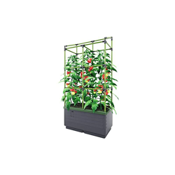 Bio Green JGL-T - Il Piccolo Giardino per Il Balcone e la terrazza City Jungle, Antracite, Verde en oferta