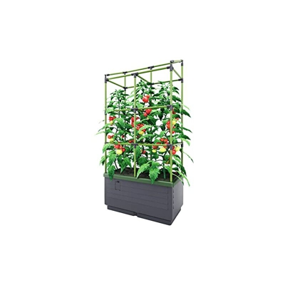 Bio Green JGL-T - Il Piccolo Giardino per Il Balcone e la terrazza City Jungle, Antracite, Verde
