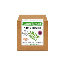 Garden PocketÂ âÂ Kit coltivazione Pianta Sensibile en oferta
