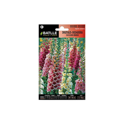 Batlle â Semi di Fiori â Digitalis â Digitale Excelsior Hybrids en oferta