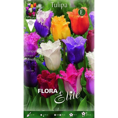 Tulipano Sfrangiati Mix Di Colori Confezione Da 10 Bulbi Autunnali Bulbs Bulbes