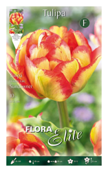 Tulipano Tulipano Double Late Sundowner Confezione Da 10 Bulbi Autunnali Bulbs Bulbes precio