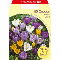 Bulbi Autunnali Crocus Vernus Mix Confezione 50 Bulbi Bulbs Bulbes características