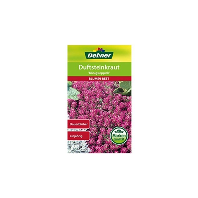 Dehner Blumen-Saatgut, Duftsteinkraut Königsteppich, 0.7 g Sementi, 5er Pack (5 x 0.7 g)