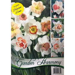 Bulbi Autunnali Collezione 12 Bulbi Di Narciso Daffodils Rosa Bulbs Bulbes características