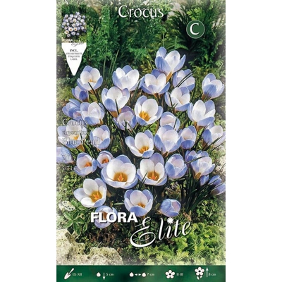 Bulbi Autunnali Crocus Blue Pearl Confezione 20 Bulbi Bulbs Bulbes