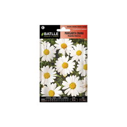 Semi di Fiori â Margherita Nano Piccola Principessa â Batlle características