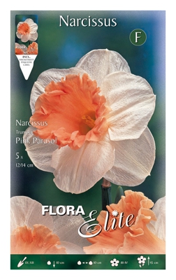 Bulbi Autunnali Narciso Trumpet Pink Parasol Confezione Da 5 Bulbi Bulbs Bulbes