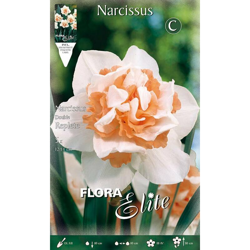 Bulbi Autunnali Narciso Replete Confezione 5 Bulbi Bulbs Bulbes características