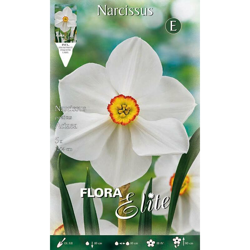 Bulbi Autunnali Narciso Poeticus Actaea Confezione Da 5 Bulbi Bulbs Bulbes precio