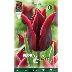 Tulipano Fior Di Giglio Lasting Love Confezione Da 10 Bulbi Autunnali Bulbs precio