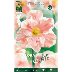 Bulbi Autunnali Narciso Split Corona Apricot Whirl Confezione Da 5 Bulbi Bulbs Bulbes precio