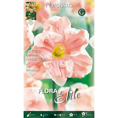 Bulbi Autunnali Narciso Split Corona Apricot Whirl Confezione Da 5 Bulbi Bulbs Bulbes