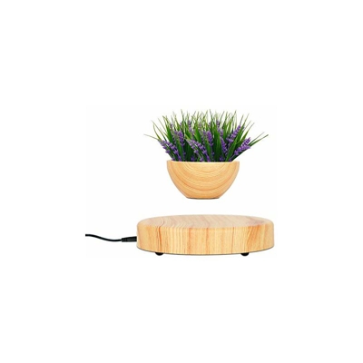 Fittoway Vaso da fiori fluttuante creativo, per bonsai, decorazione per soggiorno, camera da letto, ufficio