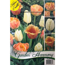 Bulbi Autunnali Collezione 18 Bulbi Di Tulipani Arancione E Pastello Per Aiuole E Vasi características