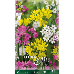 Bulbi Autunnali Allium Mix Confezione Da 30 Bulbi Bulbs Bulbes precio