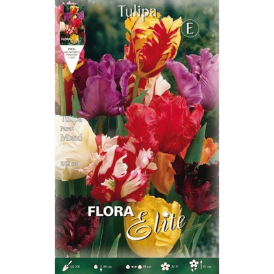Bulbi Autunnali Tulipano Parrot Mix Di Colori Confezione Da 10 Bulbi Bulbs Bulbes
