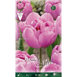 Tulipano Tulipano Double Late Table Dance Confezione Da 10 Bulbi Autunnali Bulbs Bulbes precio