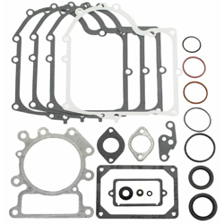 Serie guarnizioni 310700 BRIGGS & STRATTON -690189 características