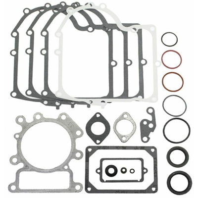 Serie guarnizioni 310700 BRIGGS & STRATTON -690189