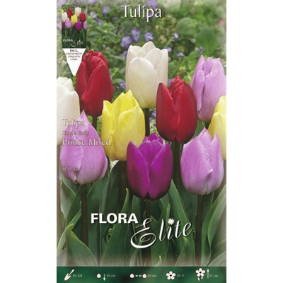 Tulipano Prince Mix Di Colori Confezione Da 10 Bulbi Autunnali Bulbs Bulbes