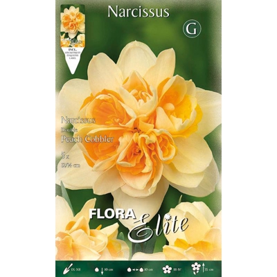 Bulbi Autunnali Narciso Double Peach Cobble Confezione 5 Bulbi Bulbs Bulbes