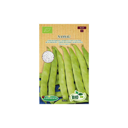 Germisem Biologico Nassau Semi di Fagioli Francesi 80 g características