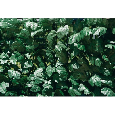 SIEPE VERDECOR A FOGLIE TIPO EDERA M 1,5 - Verdemax