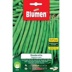 Blumen Fagiolini Nani Slenderette características