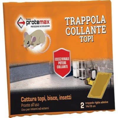 Colla rigida per topi