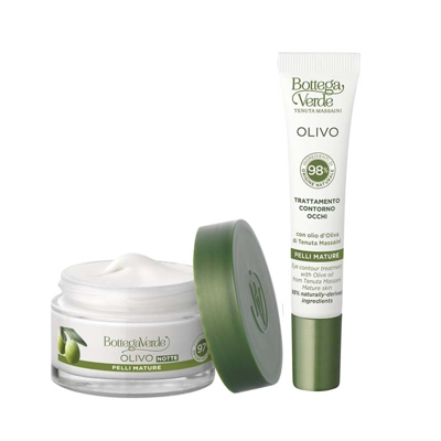 OLIVO - crema viso notte con olio d'Oliva di Tenuta Massaini (50 ml) - pelle nutrita e distesa al risveglio - pelli mature