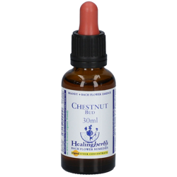 Healing Herbs Chestnut Bud características