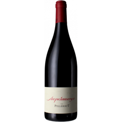 AMPELOMERYX ROUGE 2020 - DOMAINE PELLEHAUT características