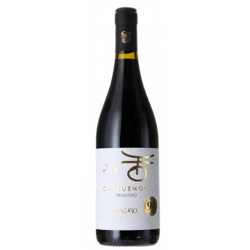 CINQUENOCI 2020 - PRIMITIVO - IGP PUGLIA - TAGARO características