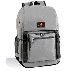 CampFeuer Zaino termico da 20 litri | leggero e impermeabile | grigio | Borsa isolante per BBQ, campeggio, spiaggia e attività all'aperto características