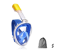 Phantasy】Maschera Subacquea Anti Appannamento Compatibile per GOPRO e Videocamere Sportive,Maschera Snorkeling con Visuale Panoramica 180°,Maschera pe precio