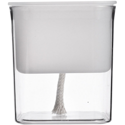 Traslucido, acqua automatico assorbente pot terra cultura impianto características