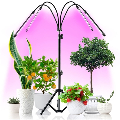 Lampada da terra la crescita delle piante