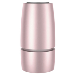 Purificatore d'aria per auto a ioni negativi Filtro aria portatile con porte USB Deodorante per filtro dell'aria per cameretta silenziosa,Tipo,oro en oferta