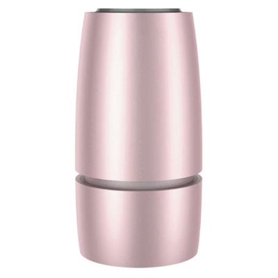 Purificatore d'aria per auto a ioni negativi Filtro aria portatile con porte USB Deodorante per filtro dell'aria per cameretta silenziosa,Tipo,oro