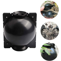 Pianta di propagazione ad alta pressione scatola taglio innesto radicazione scatola, dispositivo di radicazione | mezzo nero - mezzo nero en oferta