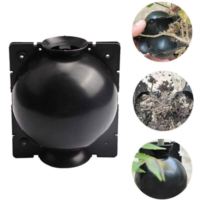 Pianta di propagazione ad alta pressione scatola taglio innesto radicazione scatola, dispositivo di radicazione | mezzo nero - mezzo nero