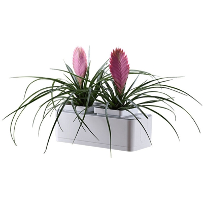 Bianco + Grigio, coperto per il desktop piantare pentole, serbatoio idroponica