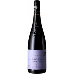 CUVEE DOMAINE 2020 - DOMAINE ROCHES NEUVES THIERRY GERMAIN características