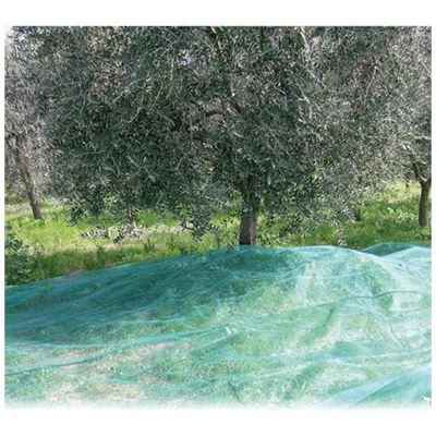 Rete Olive Antispi. C / Spac. Mt. 12X12 In Polietilene Alta Densita' Anti-Uv