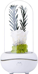 Diffusore di aromi, 120 ml, umidificatore a ultrasuoni, lampada profumata, luce notturna, umidificatore per oli essenziali (bianco) precio